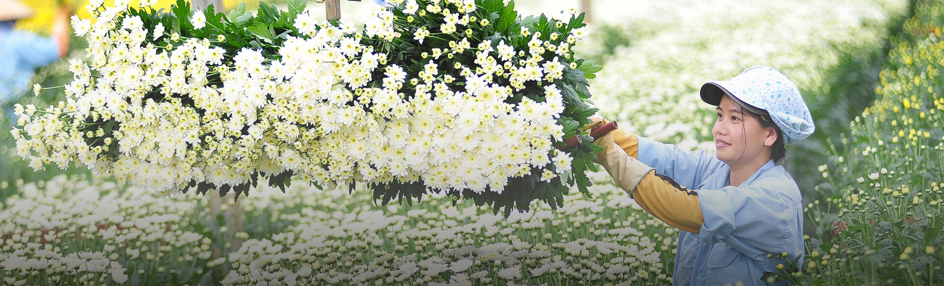 Nhân Viên Giao Hàng (Làm Việc Tại Tp. HCM)
