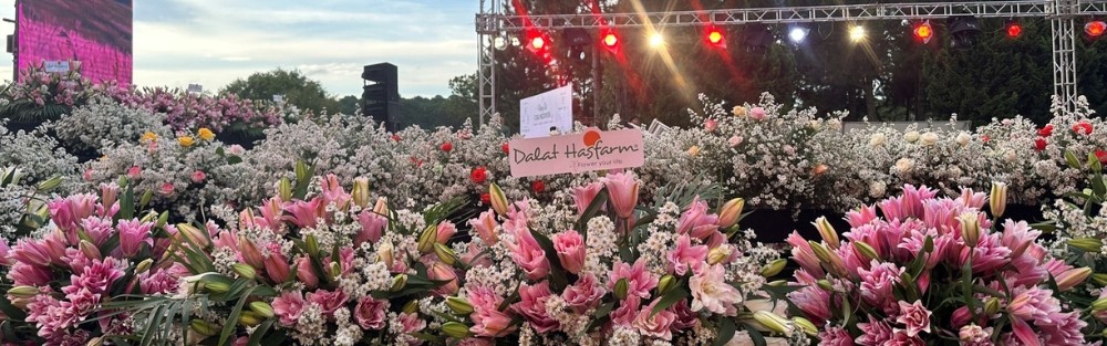 Dalat Hasfarm Lights Up “Hương Sắc Cao Nguyên”