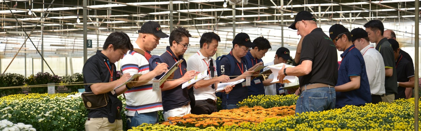 TCBC - Dalat Hasfarm tổ chức giới thiệu hoa thử nghiệm (flowers trial 2017) – NGÀY HỘI CỦA SỰ ĐỔI MỚI