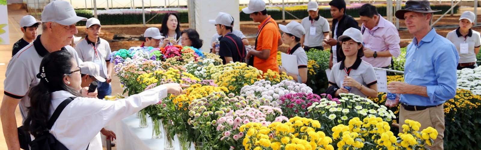 Dalat Hasfarm giới thiệu quy trình sản xuất hoa bền vững tại Flower Trials 2018