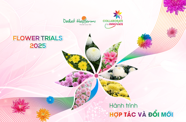 DALAT HASFARM FLOWER TRIALS 2025 – HOUSE OF THE FUTURE