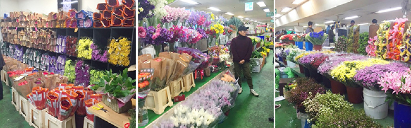 Outstanding Dalat Hasfarm flowers at Seoul Wholesale flowers market