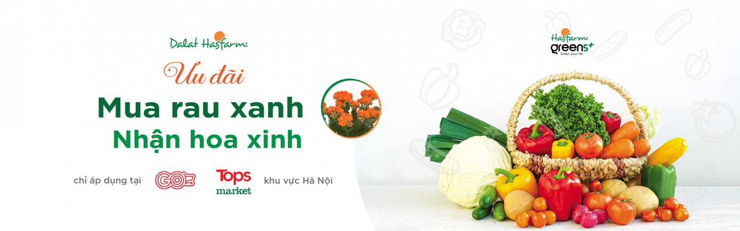 Hasfarm Greens+ triển khai chương trình “Mua rau xanh, nhận hoa xinh” tại Hà Nội