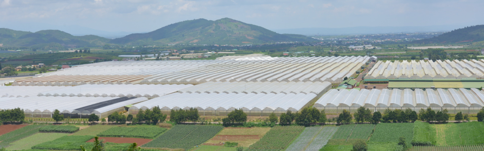 Dalat Hasfarm rực rỡ qua lăng kính chương trình “Khách Hàng Là Thượng Đế”