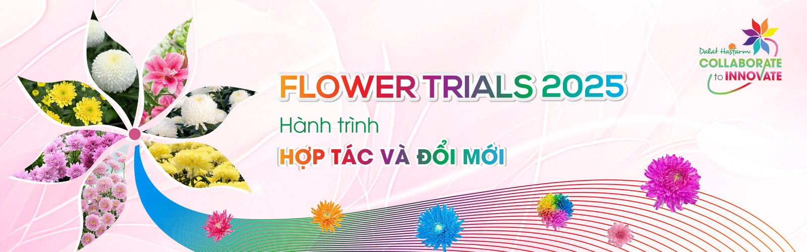 DALAT HASFARM FLOWER TRIALS 2025 – HOUSE OF THE FUTURE