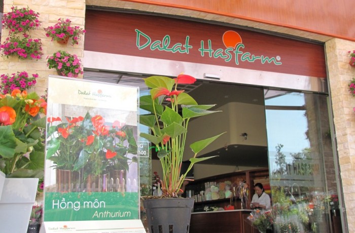 Dalat Hasfarm đầu tư showroom mới tại Đà Lạt