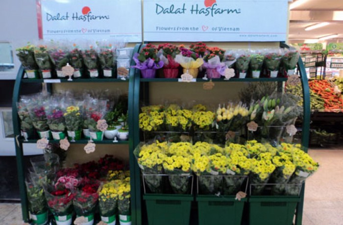 Dalat Hasfarm opened new booth at CoopExtra Linh Trung