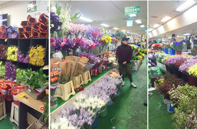 Hoa tươi Dalat Hasfarm nổi bật tại chợ hoa sỉ Seoul, Hàn Quốc