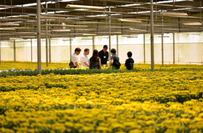 TCBC - Flower Trial - Cảm hứng và sáng tạo