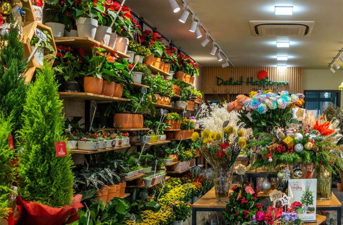 New Dalat Hasfarm shop opened in District 2, Hochiminh City