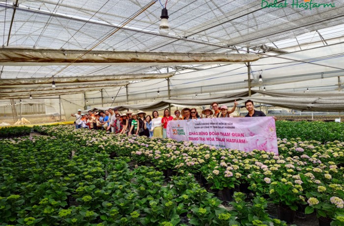 Khám Phá Trang Trại Hoa Dalat Hasfarm – Trải Nghiệm Đặc Biệt Cùng Những Khách Hàng May Mắn